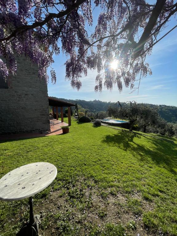 a table sitting in the grass under a tree at Podere il Poggio in Avaglio