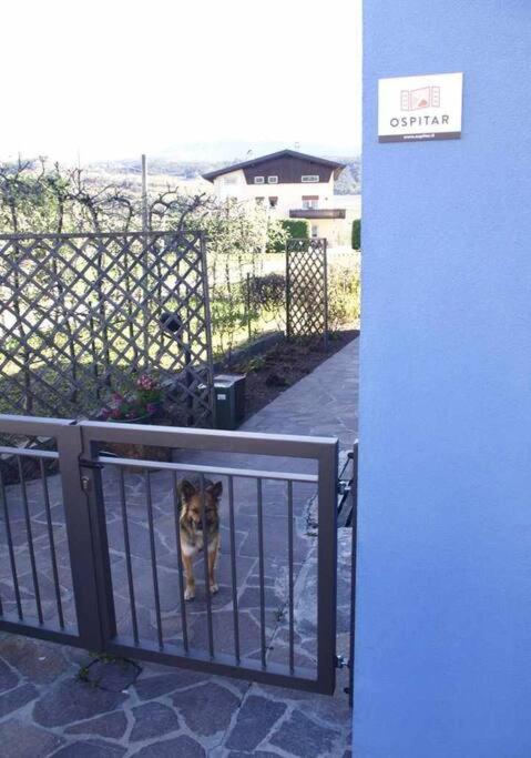Balkon lub taras w obiekcie Casa del Tempo Irma Tassullo Ospitar