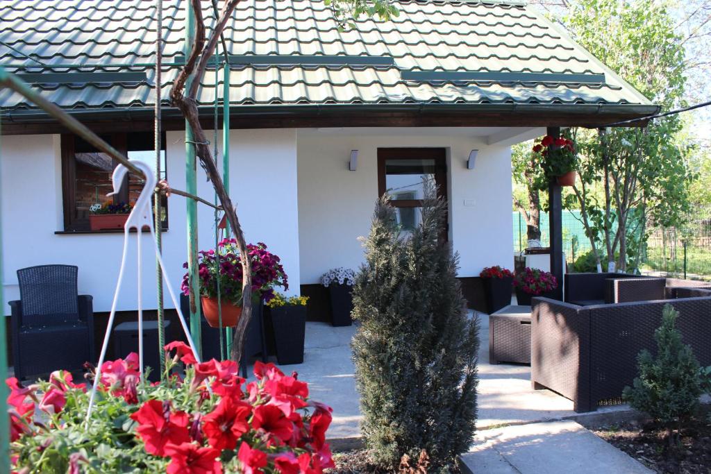 dom z kwiatami na dziedzińcu w obiekcie Căsuța artiștilor w mieście Breaza de Sus