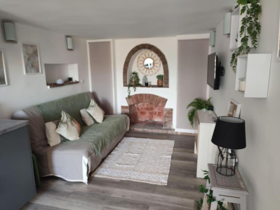 - un salon avec un canapé vert et une cheminée dans l'établissement Studio 30 m 2 avec terrasse et coin détente, à Cagnes-sur-Mer