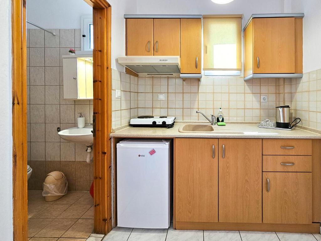Kuchyň nebo kuchyňský kout v ubytování Hotel Exarhos