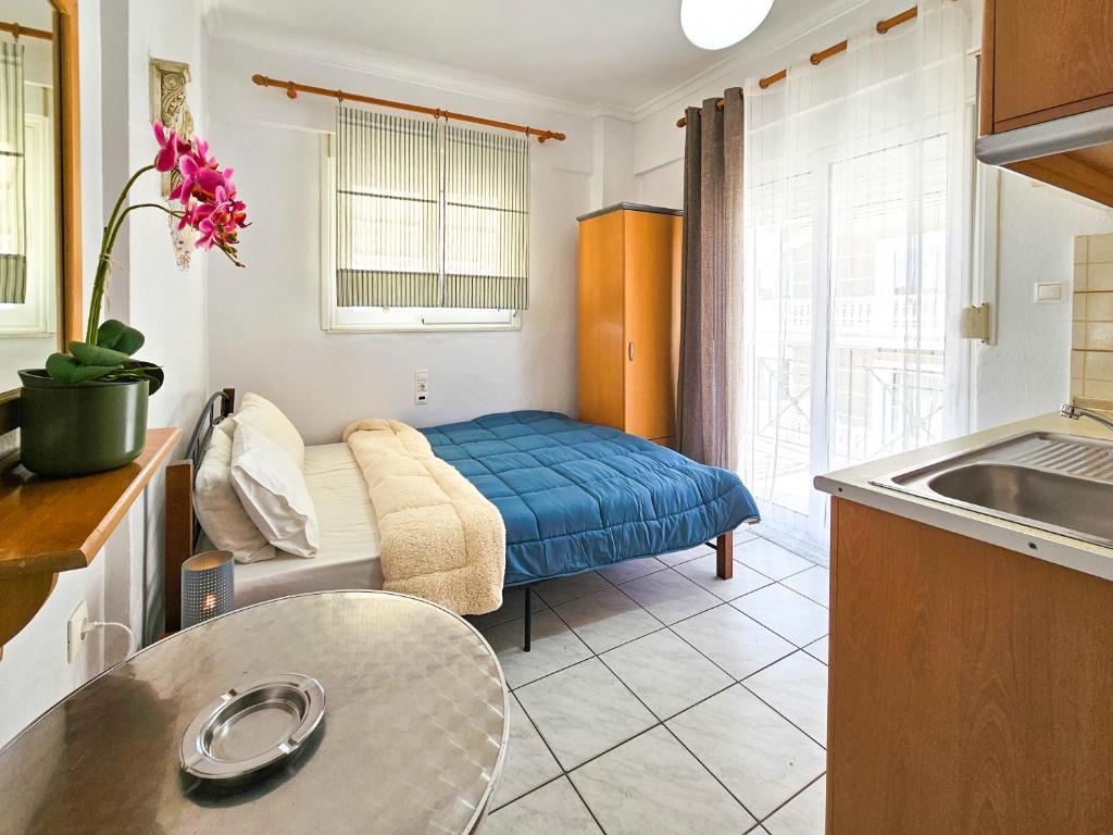 Kuchyň nebo kuchyňský kout v ubytování Hotel Exarhos