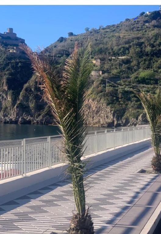 Casa vacanze STEVIA - Appartement Met één Slaapkamer