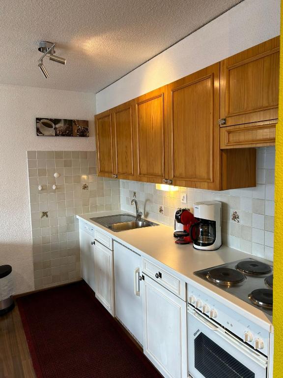 Fontanettaz V 015 - MOUNTAIN apartment 6 pers - Resim 9