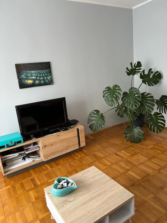 Televízia a/alebo spoločenská miestnosť v ubytovaní Apartament 18