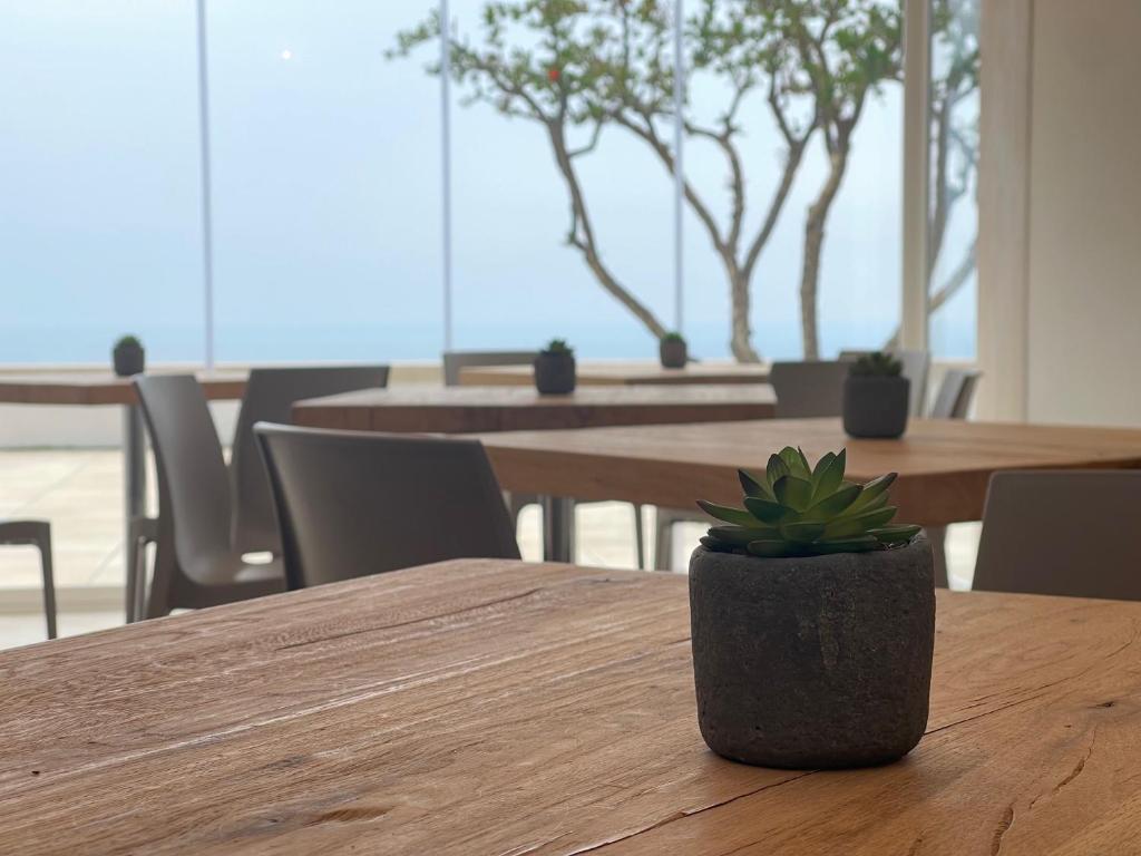 a potted plant sitting on top of a wooden table at Daedalium in Marina di Palma