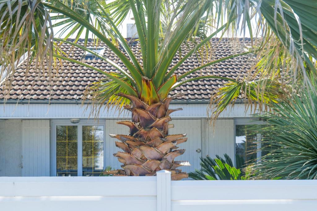 Vonkajšia záhrada v ubytovaní Belle maison de vacances à la Pironnière - 6 à 8 pers