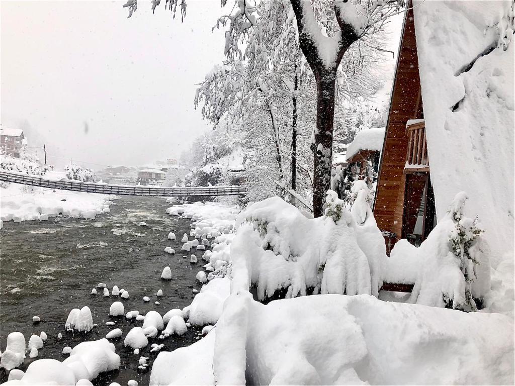 a group of ducks in a river covered in snow at Tabiat Bungalows in Çamlıhemşin