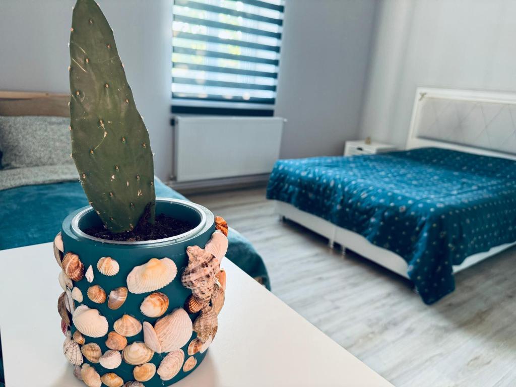 un cactus dans un pot assis sur une table dans une chambre dans l'établissement Serbian House, à Timişoara