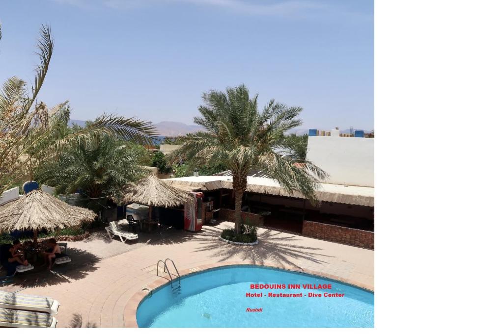 亞喀巴的住宿－Bedouins Inn Village，享有带游泳池和棕榈树的度假村景色