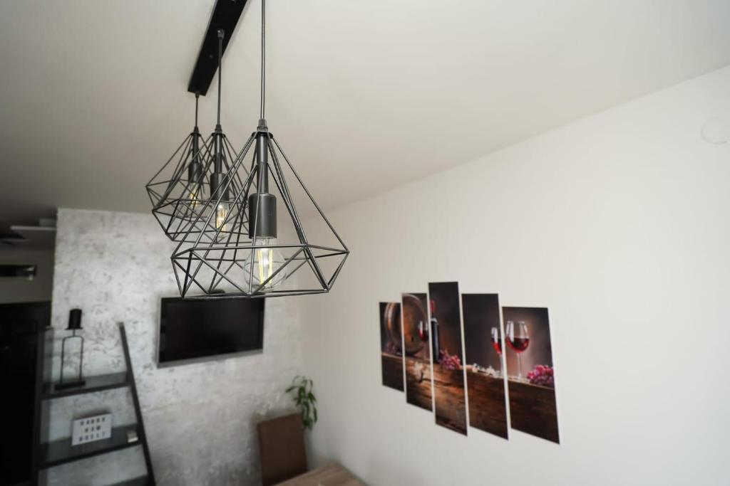 TV a/nebo společenská místnost v ubytování Todor Apartmani