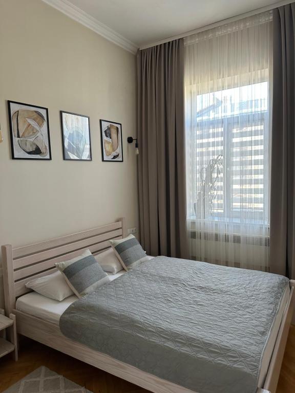 een slaapkamer met een groot bed en een raam bij Апартаменти Тобілевича 3 in Lviv
