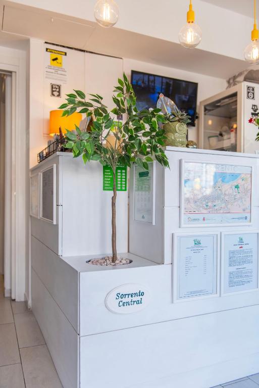 Kuchyň nebo kuchyňský kout v ubytování B&B Sorrento Central