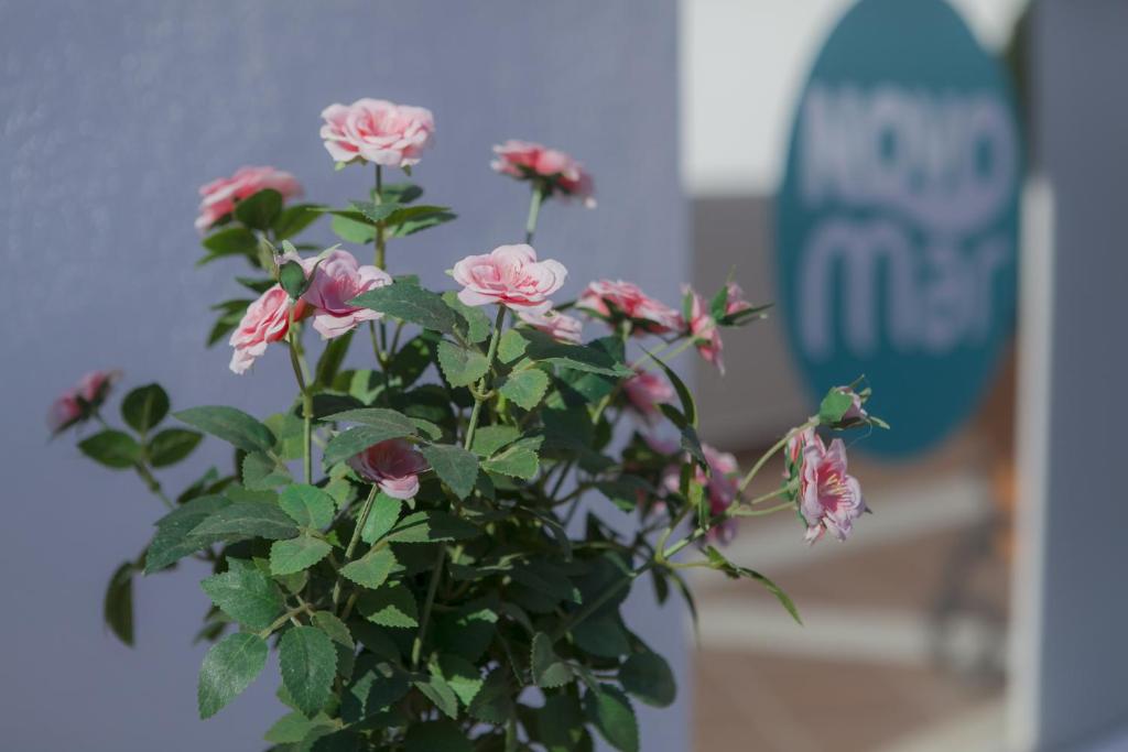Fotografie z fotogalerie ubytování Hotel Novomar v destinaci Chiclana de la Frontera