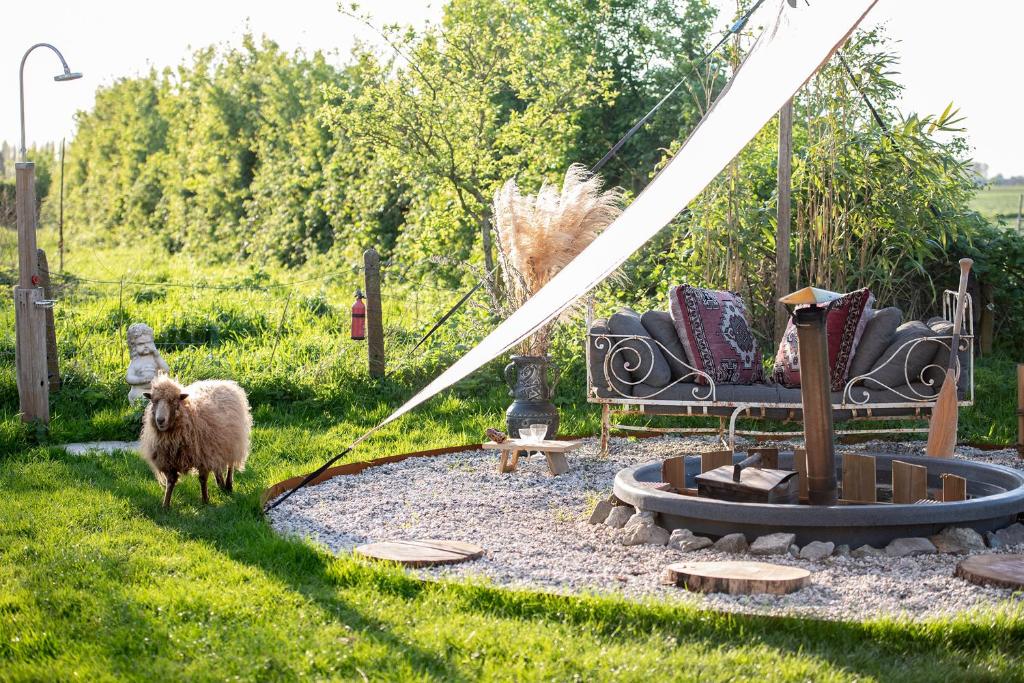 Zahrada ubytování Slapen tussen de schapen in pipowagen de Ome Jan