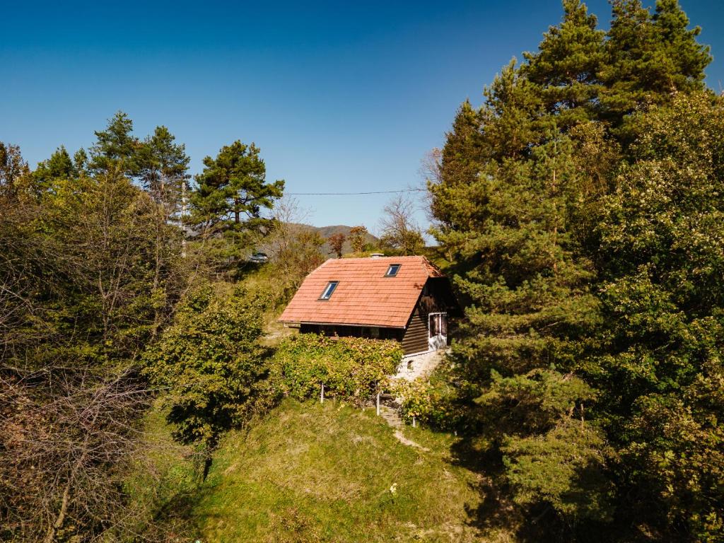 una casa vieja con techo rojo en el bosque en serenity, en Dramlje