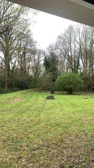 Photo de la galerie de l'établissement Appartement lumineux de 60m2, à Guer