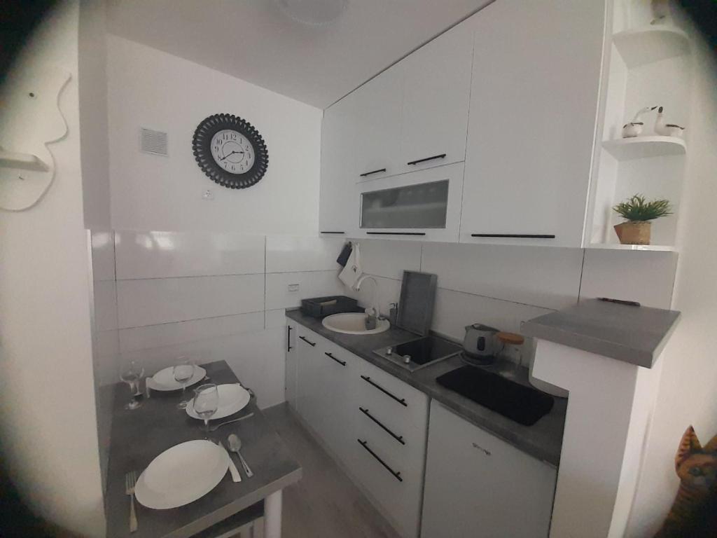 巴尼亚科维利亚查Апартман Љесковац的白色的小厨房,配有水槽和时钟