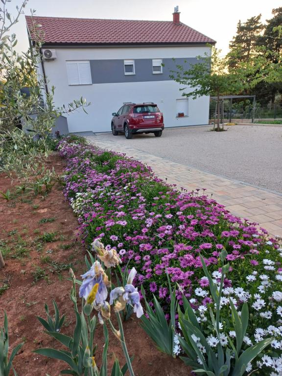 un lecho de flores frente a una casa con un coche en lastva 1&2, en Sveti Filip i Jakov