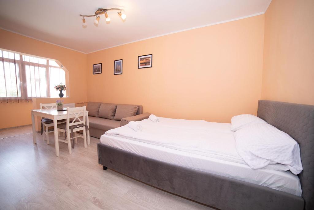 1 dormitorio con cama, mesa y sofá en Robert room 18 en Arad