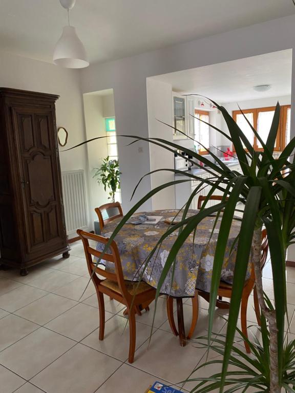 Gîte Les Acacias – photo 24