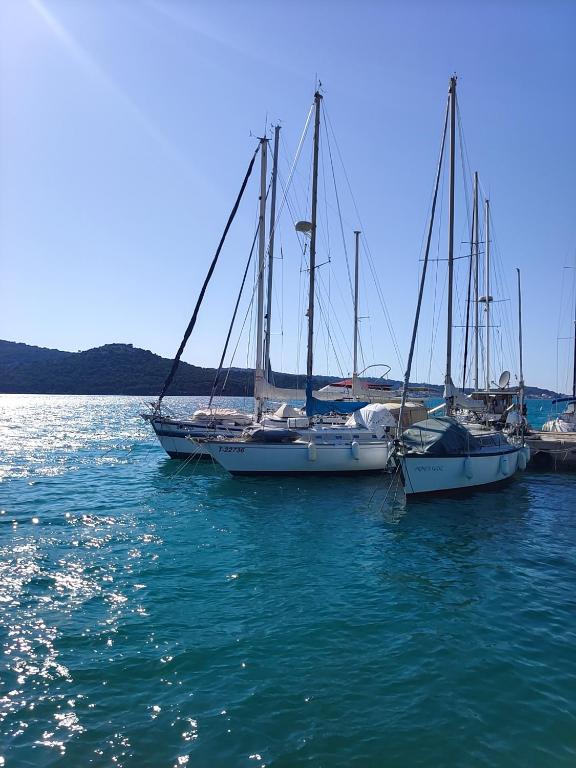 three sailboats are docked in the water at nautic world studio in Tisno