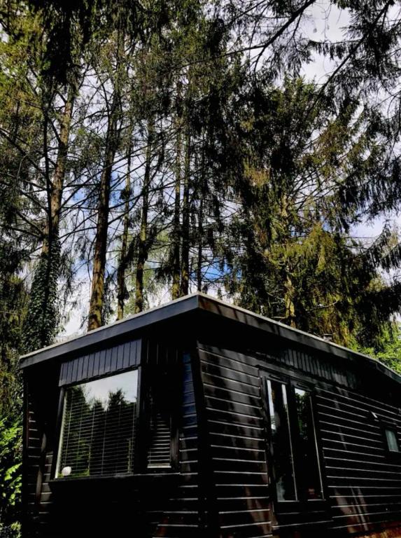 a cabin in the woods with trees in the background at Heerlijk chalet midden in de natuur in Putten