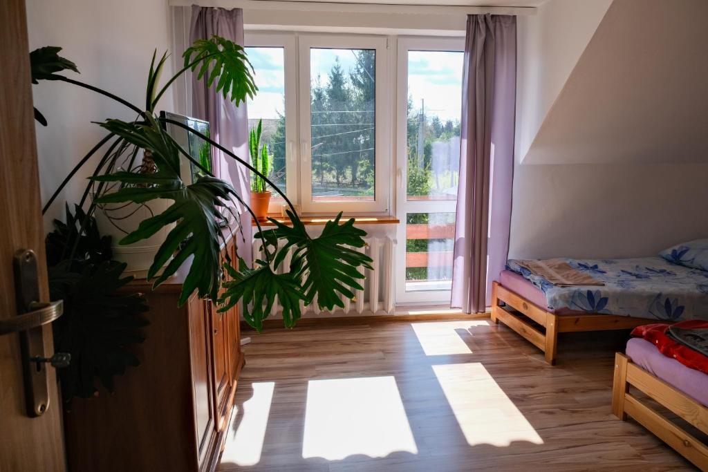 Posteľ alebo postele v izbe v ubytovaní Pokoje u Ani