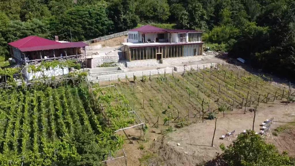 Korenishuli Veranda Wine Hotel في Tsʼageri: اطلالة جوية على بيت في مزارع العنب