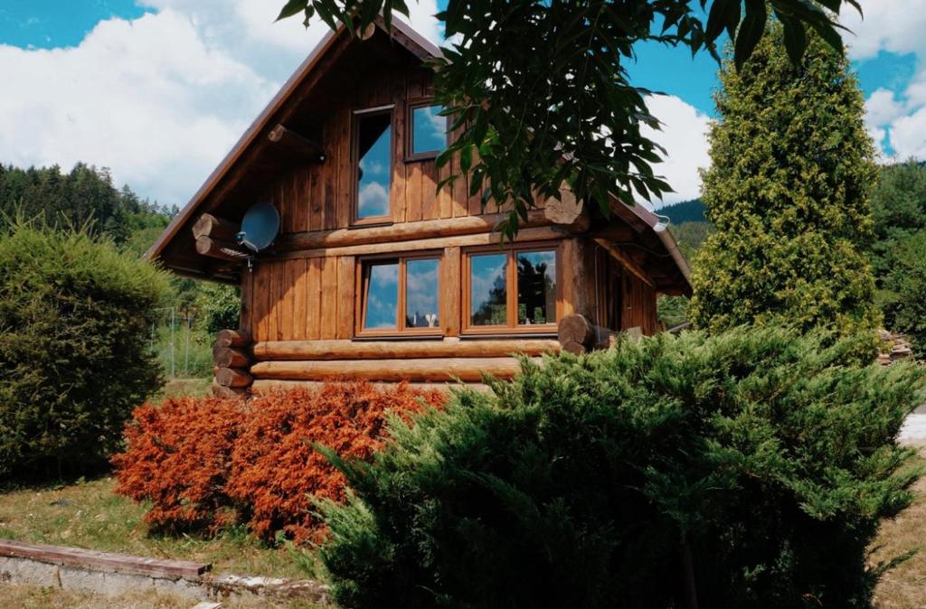 a log cabin with windows on a hillside at Dřevěný romantický srub v Krušných horách in Hroznětín