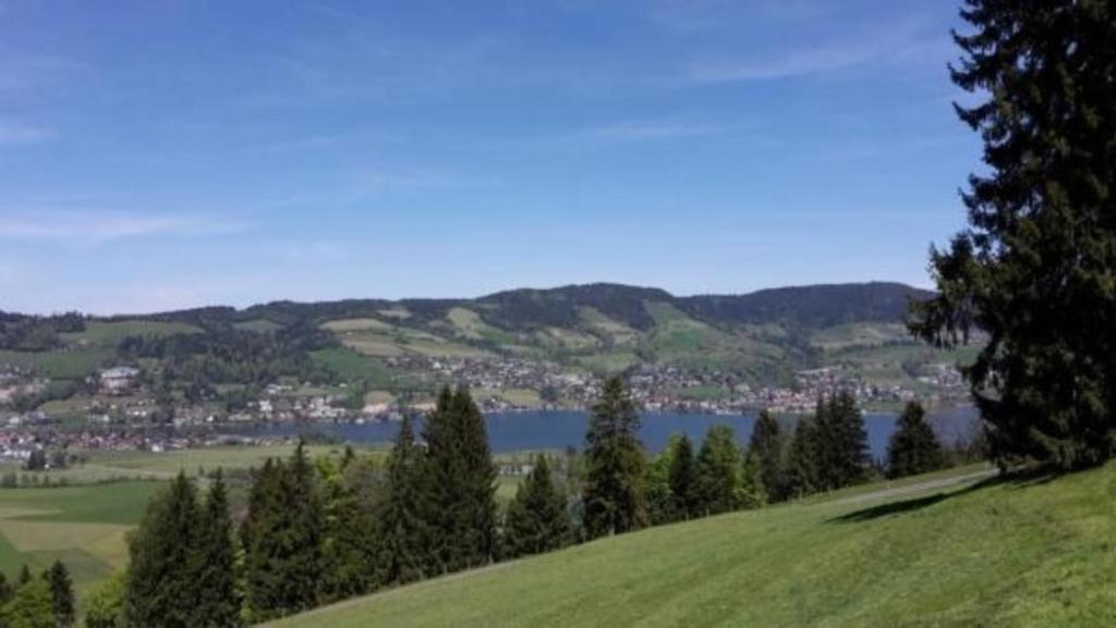 a green hill with a view of a city and a lake at Fruehalp - b48505 in Unterägeri