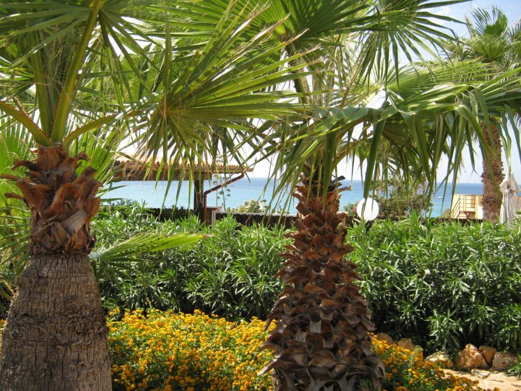 zwei Palmen in einem Garten mit Blumen in der Unterkunft Villa Baia di Cornino in Custonaci