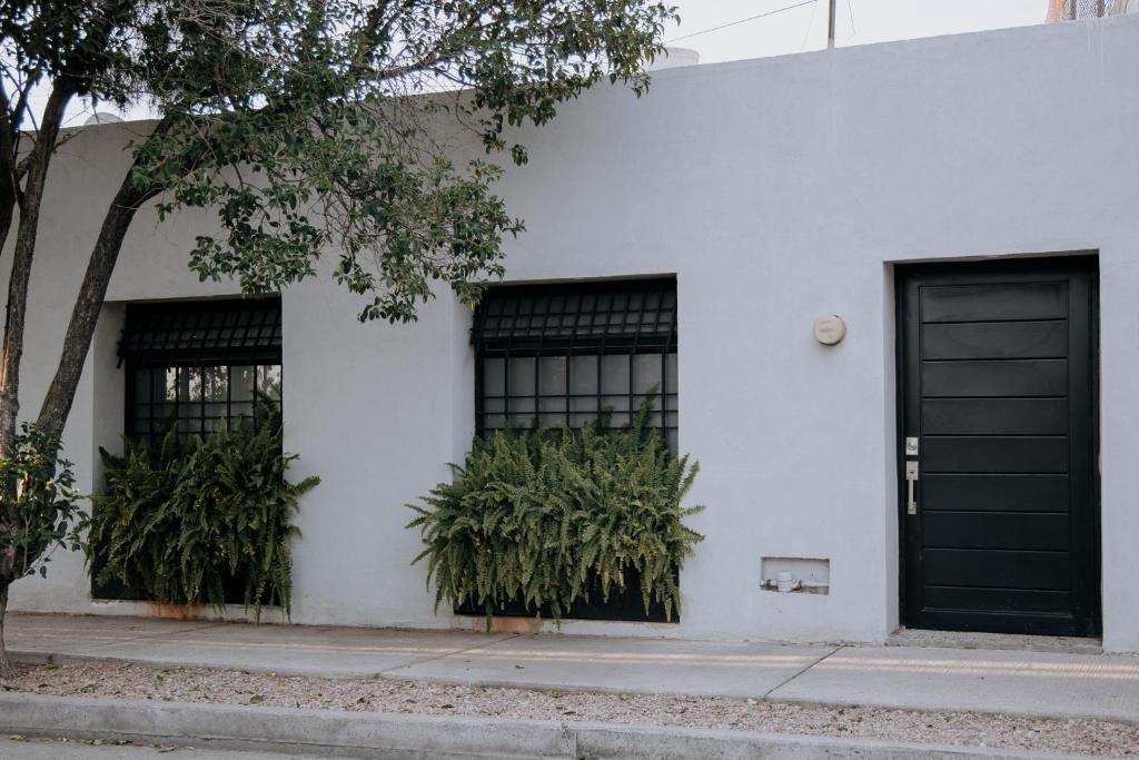 een wit gebouw met twee zwarte deuren en planten bij Casa Los Helechos in Aguascalientes