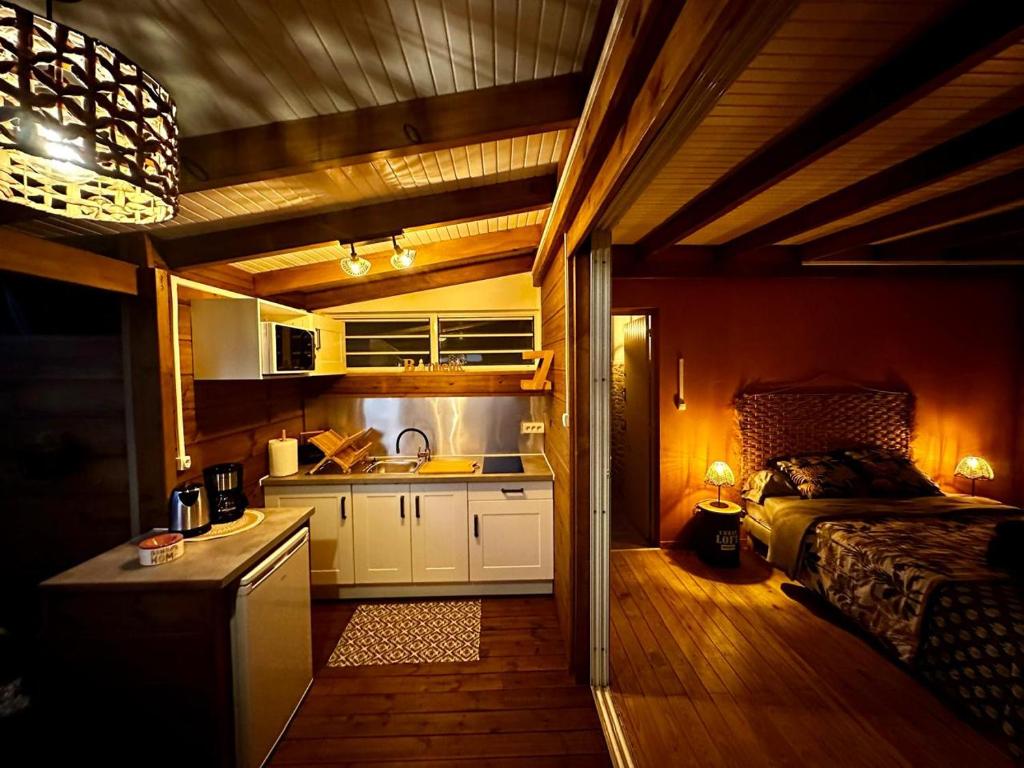 Kuchyň nebo kuchyňský kout v ubytování Bungalow L'hibiscus
