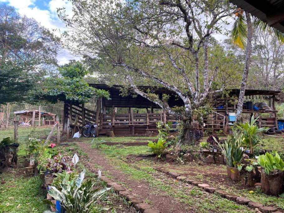 un jardín con una valla de madera y algunas plantas en Cabaña entre montañas, equipada., en La Cruz