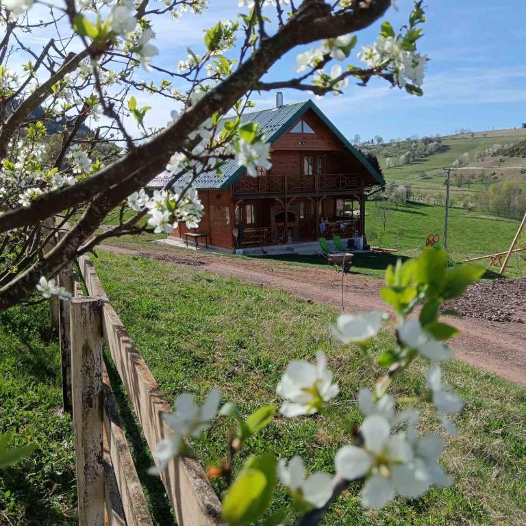 Příroda nedaleko apartmánu