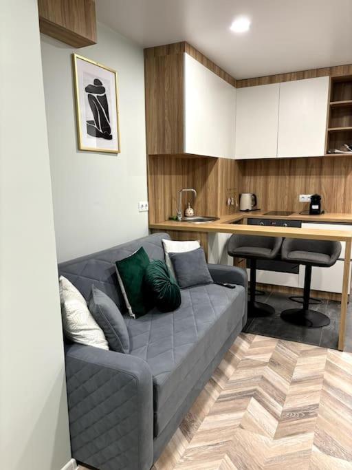 a living room with a couch and a kitchen at Central Park Apartment in Chişinău