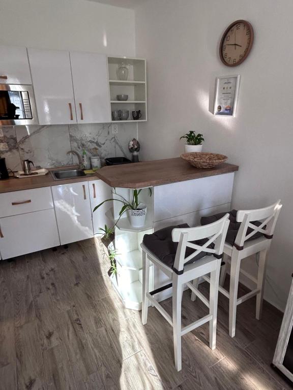 Kuchyňa alebo kuchynka v ubytovaní Bódva Apartman