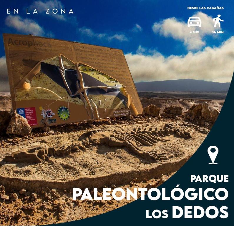 a box in the desert with the words palomino los dodos at Cabañas Ecologicas Alto Cañizares in Bahia Inglesa