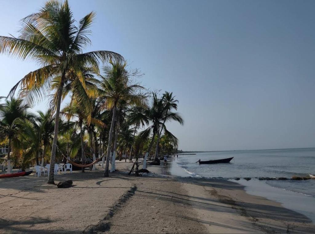une plage avec des palmiers et un bateau dans l'eau dans l'établissement Cabaña la isla, à Coveñas