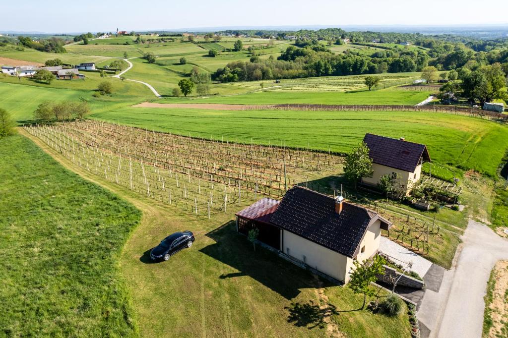 Příroda nedaleko apartmánu