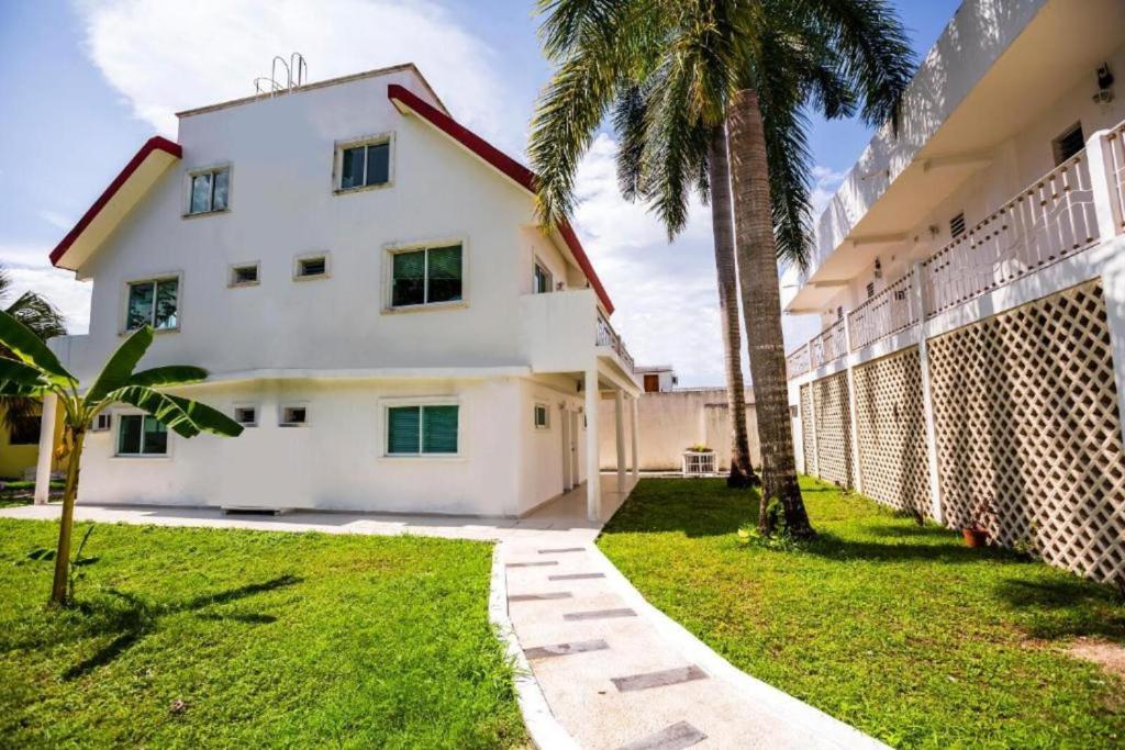 une maison blanche avec un palmier dans la cour dans l'établissement Hotel Dos Mundos, Isla Cozumel, à Cozumel