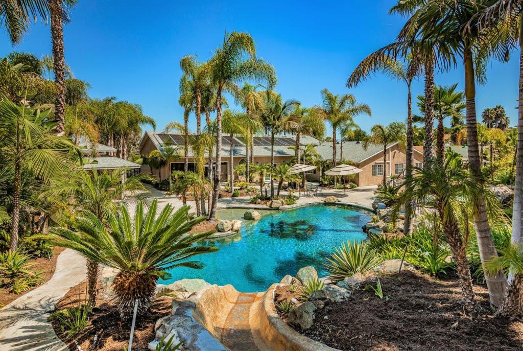 - une piscine bordée de palmiers et un complexe dans l'établissement Oasis with heated pool, mini golf, hot tub & barbq area, à Oceanside
