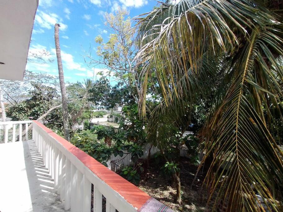 balkon z widokiem na palmę w obiekcie Cerca de laguna y embarcadero hacia isla lobos w mieście Tamiahua