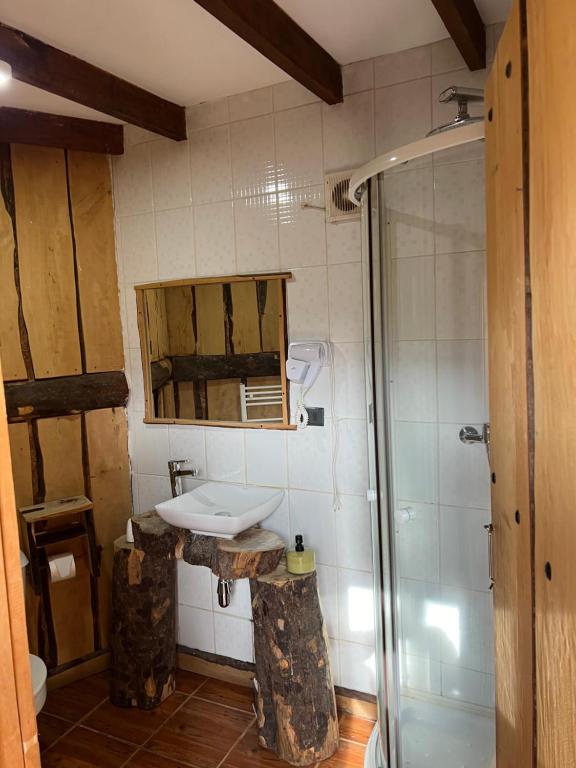 a bathroom with a sink and a shower at Cabañas Pewma Futrono in Futrono