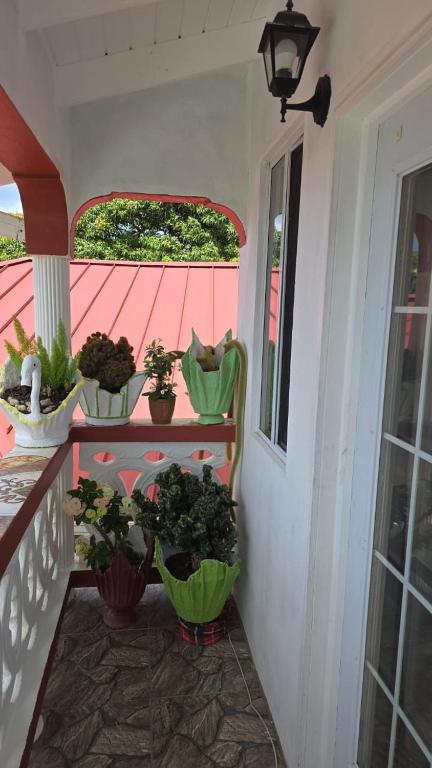 eine Veranda mit Topfpflanzen auf dem Balkon in der Unterkunft Rohan and Shelly's Inn in Castries