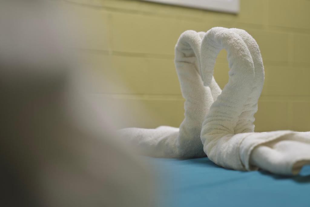 Silverfern Backpackers - Resim 32