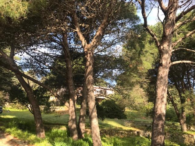 ラ・マッダレーナにあるcasa di campagna in riva al mare- da Auroraの橋のある公園の木々