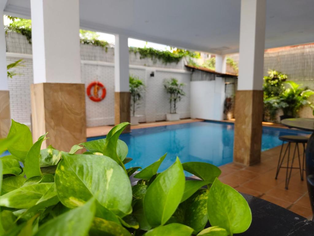 Piscina en o cerca de Bodee Corner