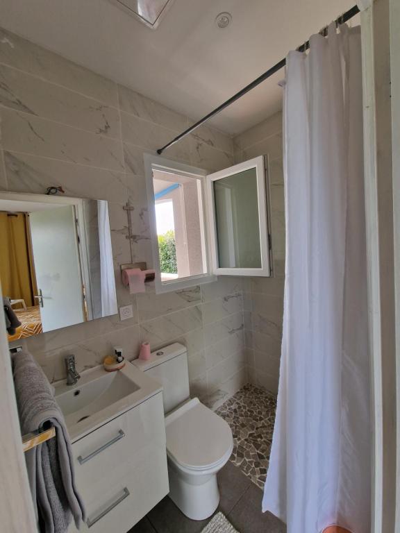 uma casa de banho com um WC, um lavatório e um espelho. em Chambre près de Walygator et Aqualand em Brax